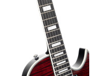 CORT CR300 Deluxe LVB CORT CR300 Deluxe LVB